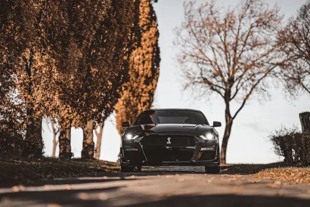 Fbet Kazino Android/iOS Lietotne